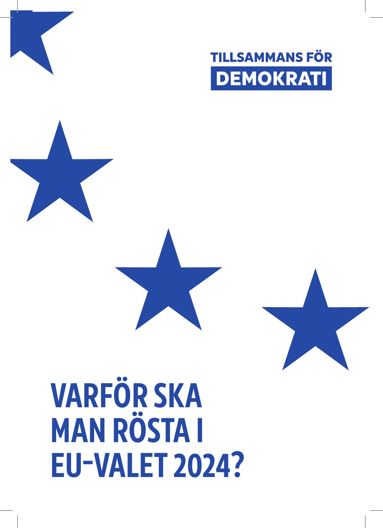 together.eu_Why should you consider voting_SV.pdf